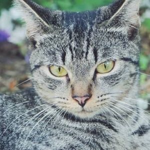 Meet your Posher, Zoe